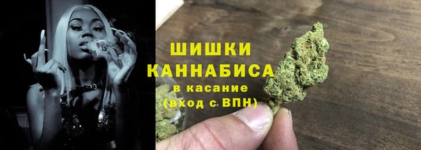 шишки Арсеньев