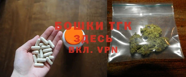 шишки Арсеньев