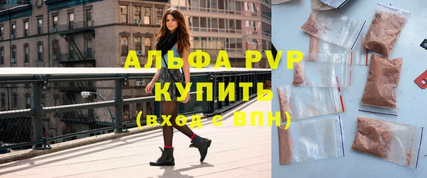 шишки Арсеньев