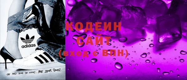 шишки Арсеньев
