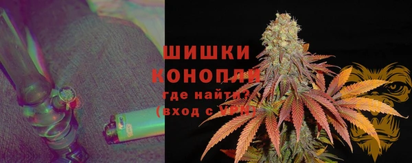 шишки Арсеньев