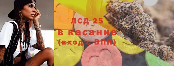 шишки Арсеньев