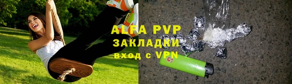 шишки Арсеньев