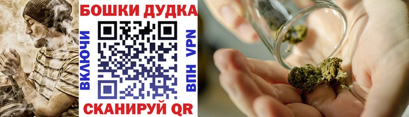 Шишки марихуана VHQ  Купить закладки  Балашиха 